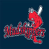 Mudskippers