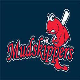 Mudskippers