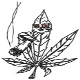 Blaze