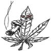 Blaze