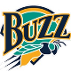 Buzz
