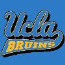 Bruins
