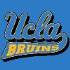 Bruins