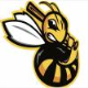 Hornets