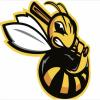 Hornets