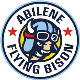 Flying Bison