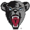 Black Bears