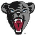Black Bears