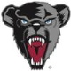 Black Bears
