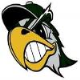 Silver Hawks