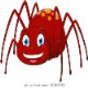 Spiders