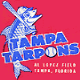 Tarpons