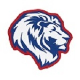Lions