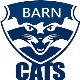 Barn Cats