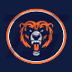 Bears