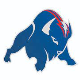 Bills