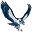 Seahawks