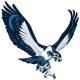 Seahawks