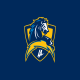 Chargers
