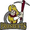 Prospects