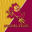 Sun Devils