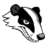 Badgers