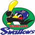 Yakult Swallows