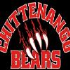 Bears