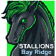 Stallions
