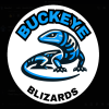 Blizards
