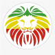 Lions