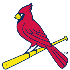 Cardinals