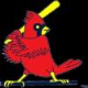 Cardinals