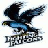Falcons