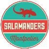 🦎Salamanders