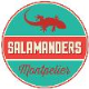 🦎Salamanders