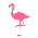 Flamingos