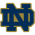 Fighting Irish
