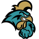 Chanticleers