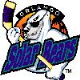 Solar Bears