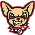 Chihuahuas
