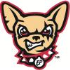 Chihuahuas