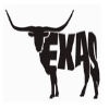 Steers