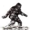 Sasquatch