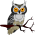 Owls