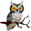 Owls