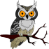 Owls