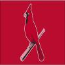 Cardinals