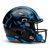 Panthers